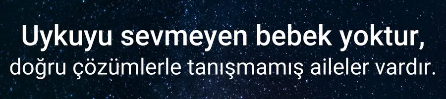 Bİ 202407 2